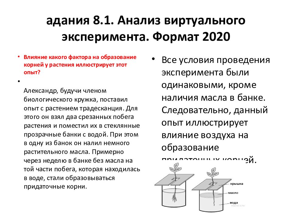 Какой эксперимент провел преображенский