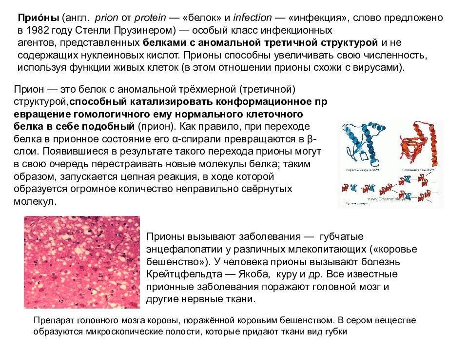 Прионная болезнь что это. Прионы микробиология. Прионы и вирусы разница. Прионы микробиология препарат. Болезнь Альцгеймера и прионы.