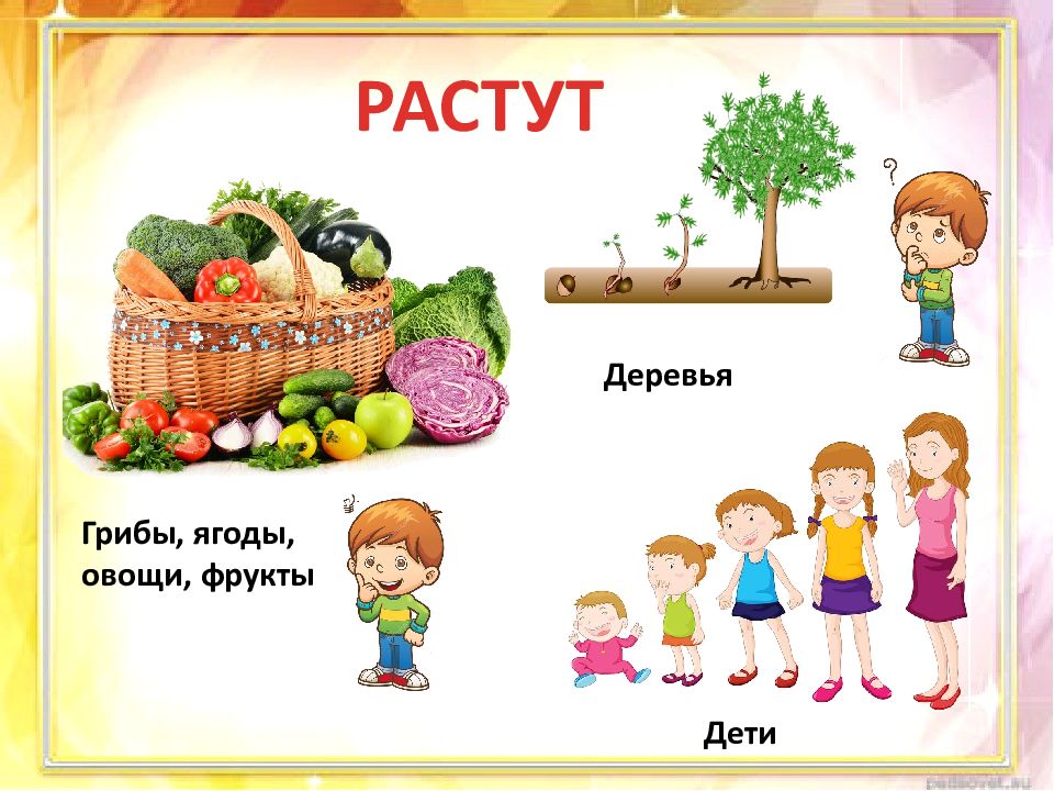 Многозначные слова картинки для детей