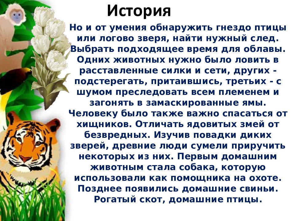 Что значит животное для человека. Проект значение животных в природе и жизни человека. Значение животного в природе. Презентация-сообщение о роли животных в природе и жизни человека. Доклад влияние животных на жизнь человека.