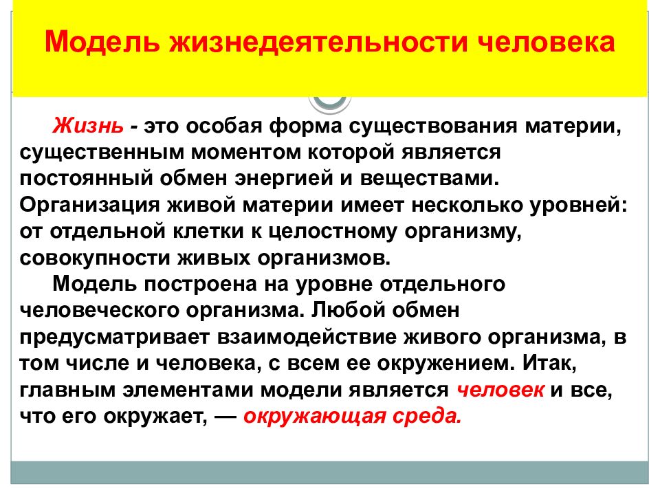 Презентация по обж основы семейного права в рф