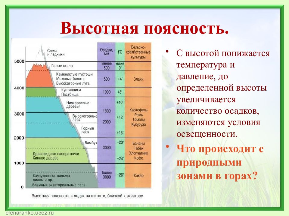 Презентация природные зоны 6 класс география домогацких