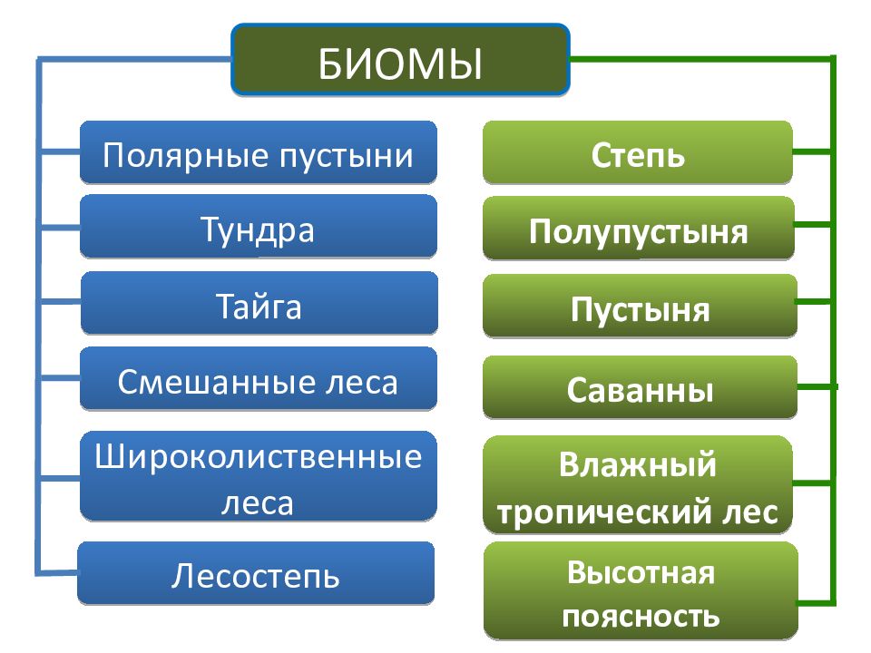 Биомы презентация 11 класс