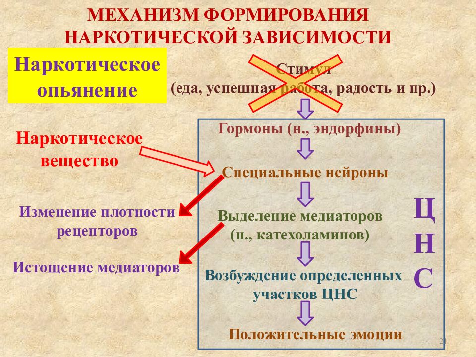 Патофизиология алкоголизма презентация