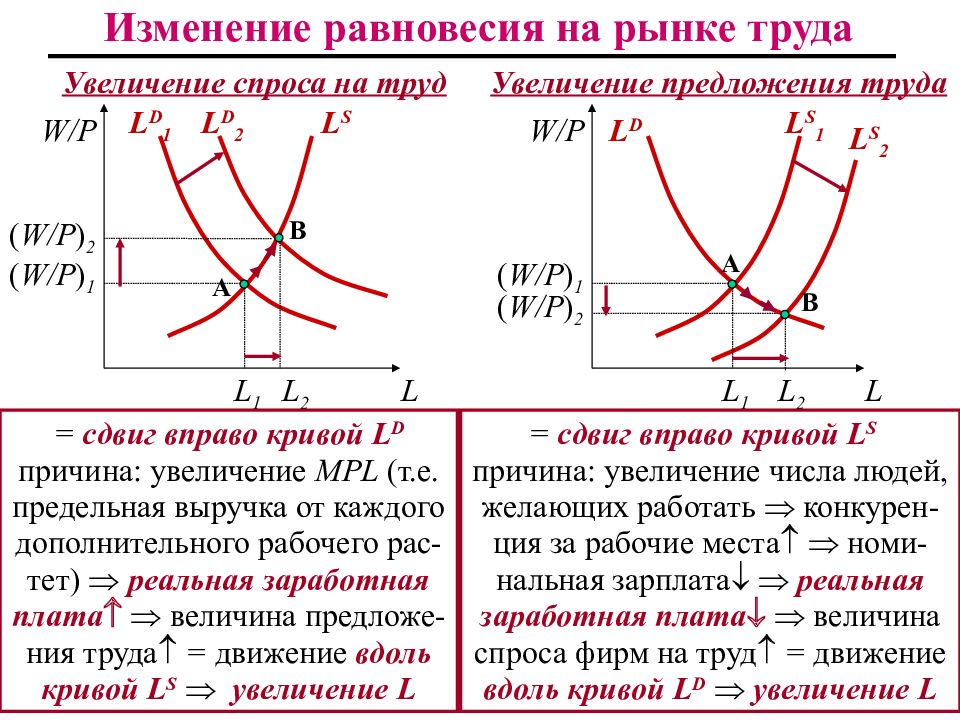 Спрос и предложение на рынке труда план