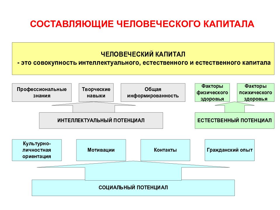 Человеческая составляющая