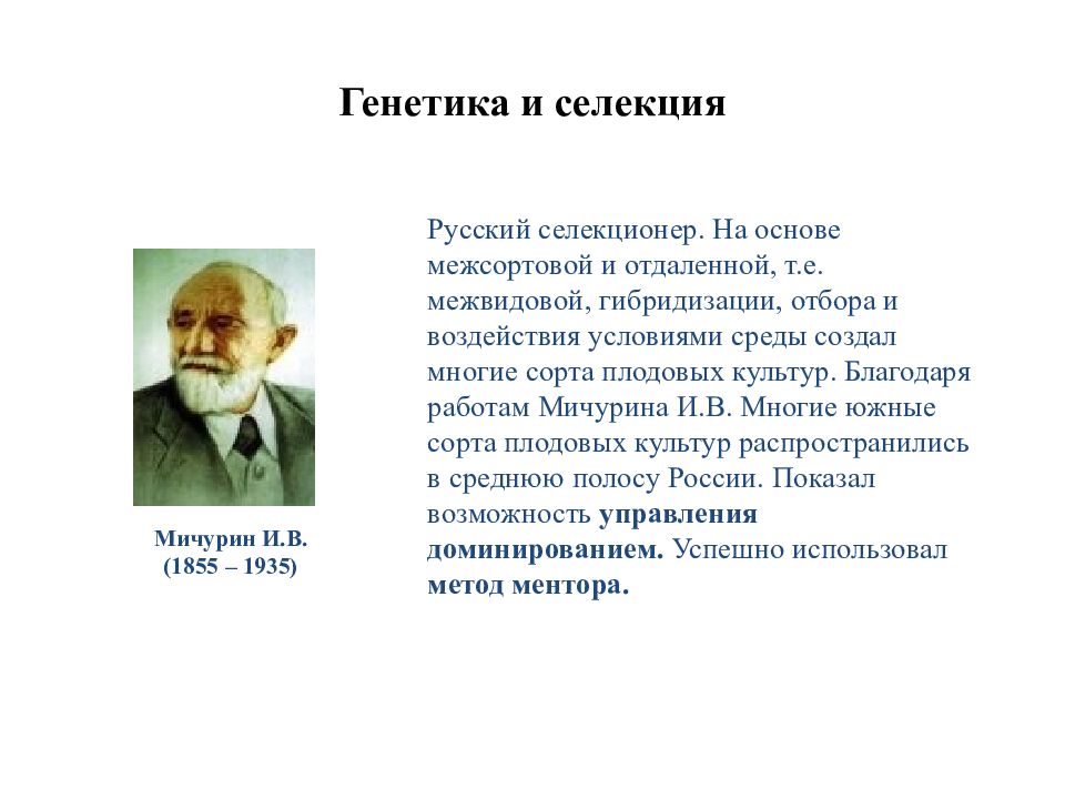 Генетика и селекция. Выдающиеся ученые биологи. Ученые биологи генетики. Селекция ученые.