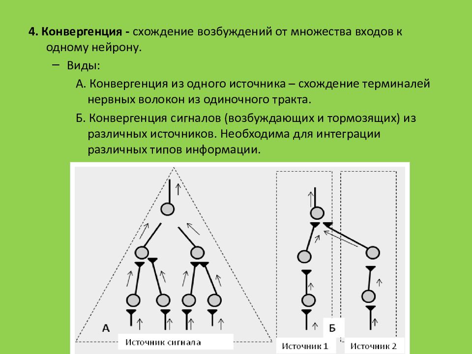 Дивергенция и конвергенция схема