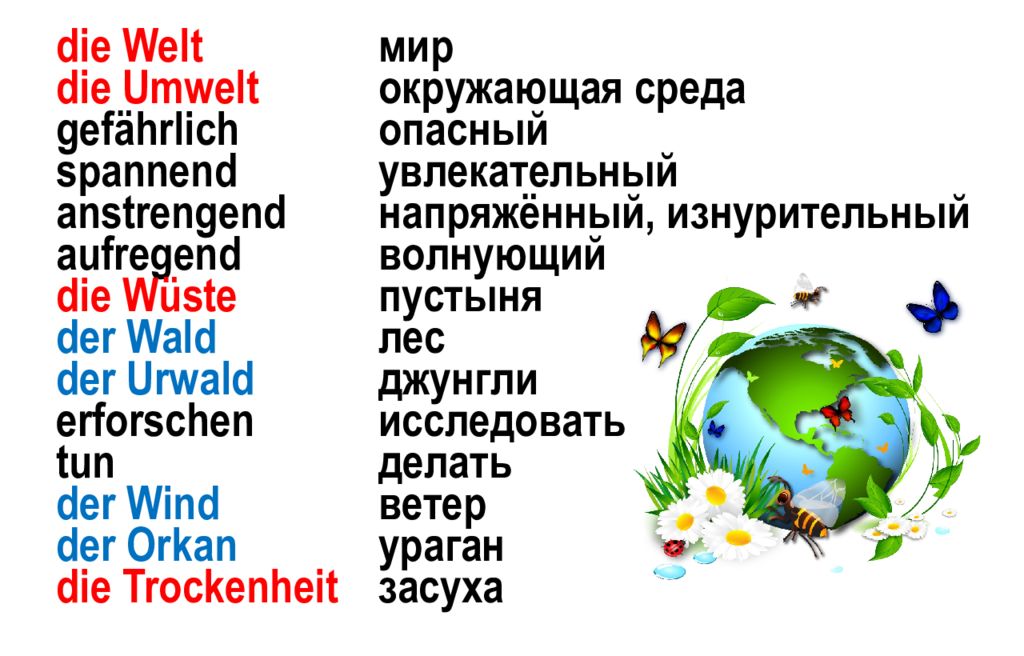 Welt und umwelt 8 класс презентация