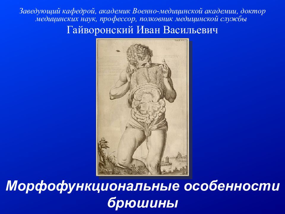 Морфофункциональные особенности брюшины