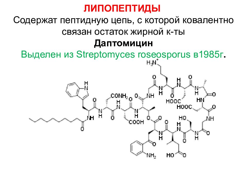 Пептидная цепь. Липопептиды антибиотики препараты. Даптомицин формула. Пептидные антибиотики состав. Антибиотики пептидной структуры.