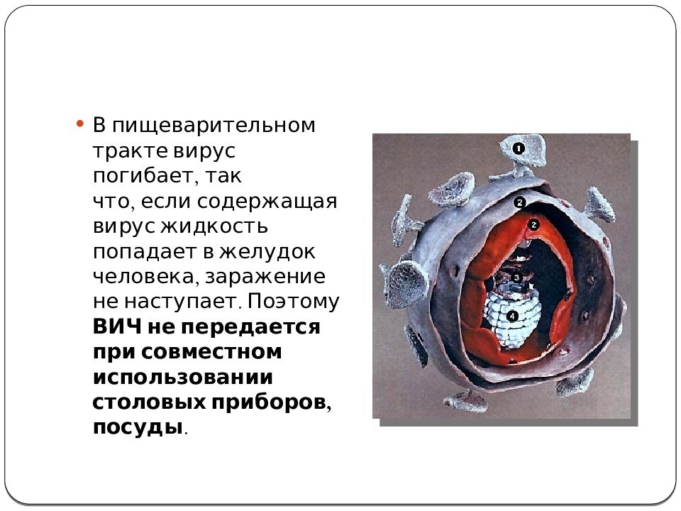 вирусная жидкость