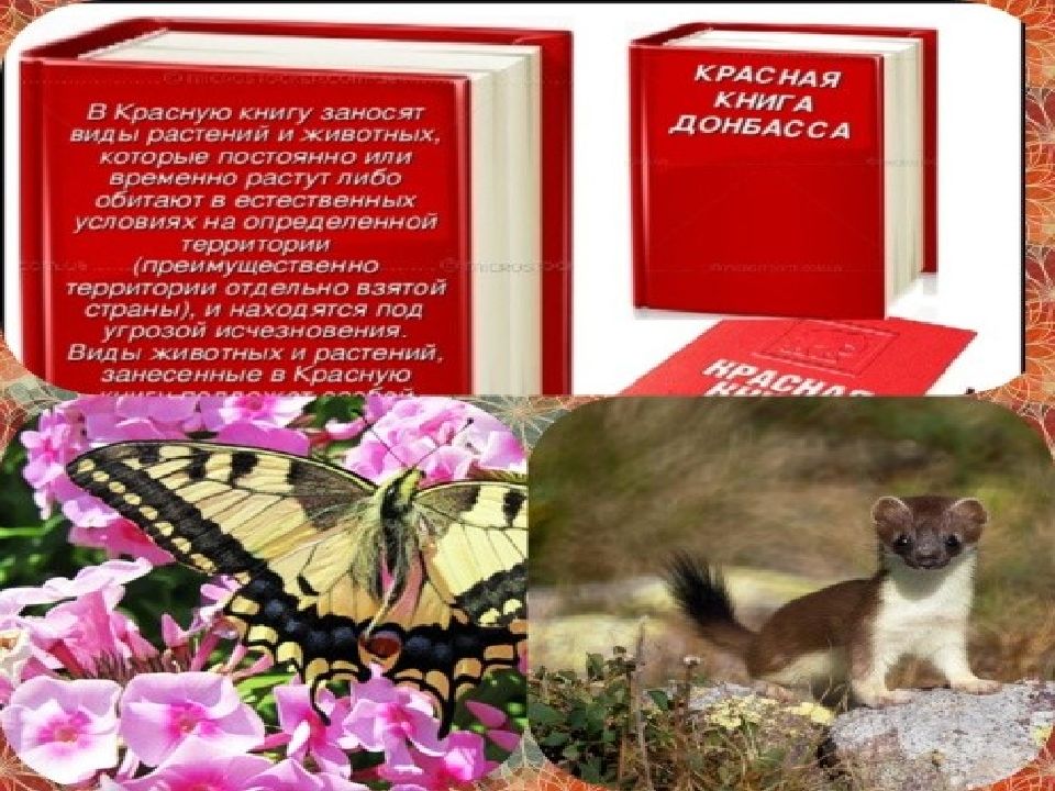 Красная книга Донбасса