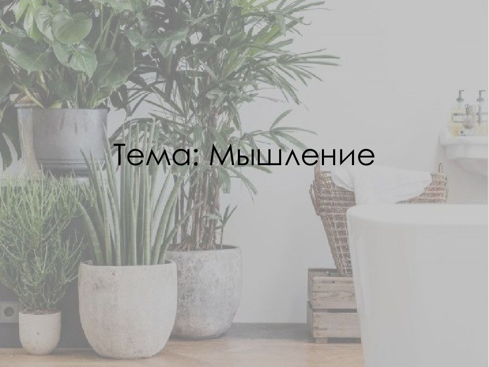 Тема: Мышление