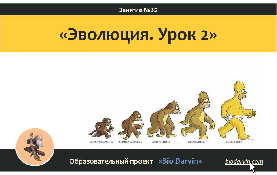 Конспект урока эволюция. Эволюция презентация. Эволюция слайд. Смешные картинки для урока про эволюцию растений.