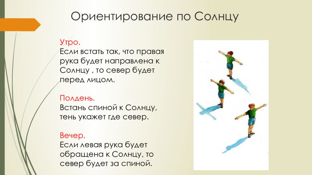 Если вечером встать лицом к солнцу. Если встать лицом к солнцу. Ориентирование по солнцу. Если в полдень встать лицом к солнцу то. Если встать спиной к солнцу.