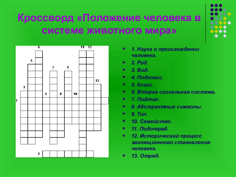 Человек представитель животного мира презентация