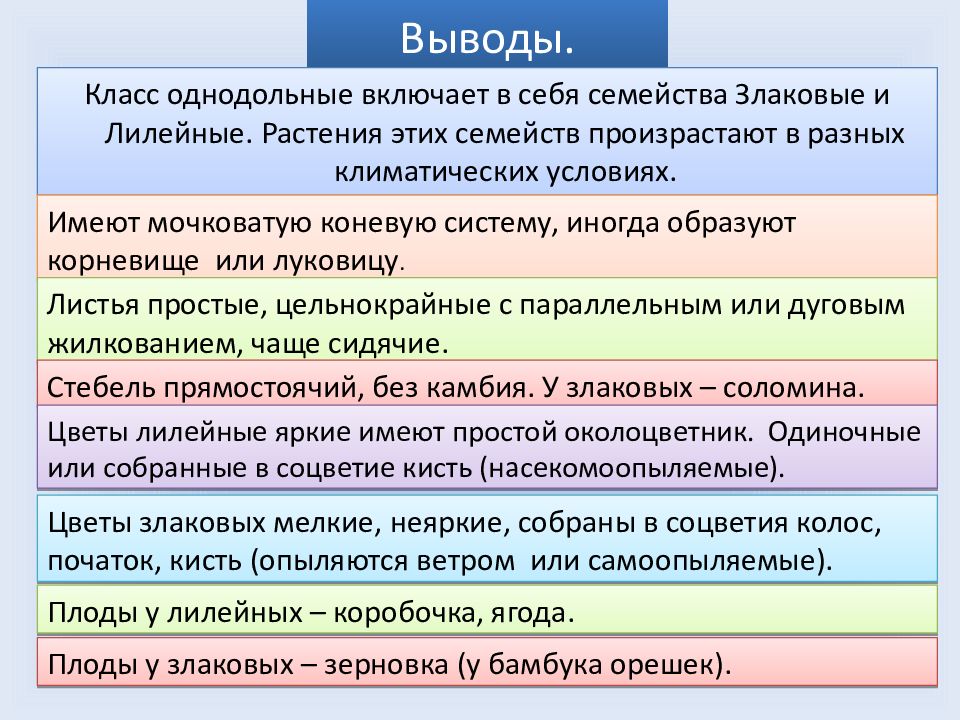 Презентация класс однодольные семейства злаковые и лилейные