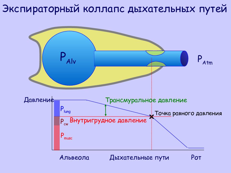 Максимальное движение