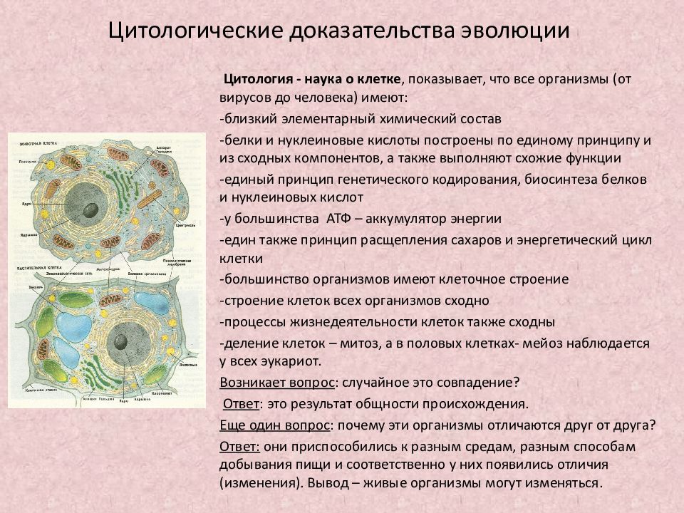 Приведите доказательства того что человек. Молекулярно-биологические и цитологические доказательства эволюции. Цитологические доказательства. Цитология доказательства эволюции. Цитологические доказательства эволюции примеры.