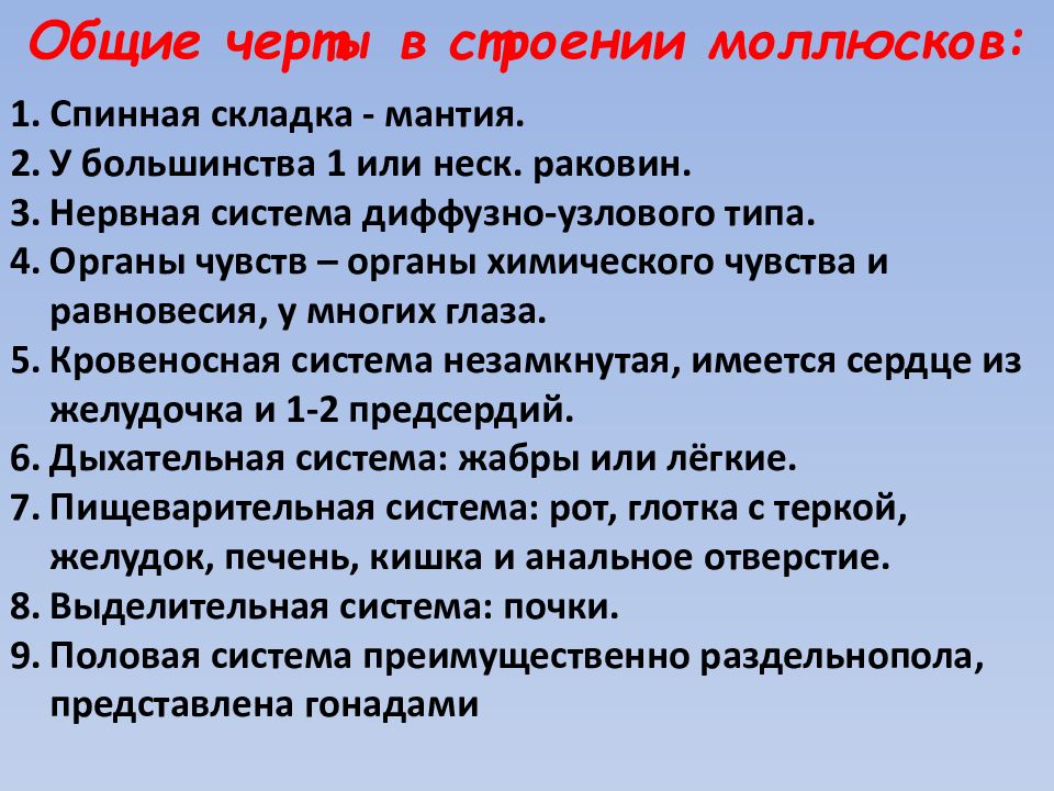 Признаки моллюсков. Общая характеристика типа моллюски 7 класс биология. Общая характеристика моллюсков. Тип моллюски общая характеристика. Общая характеристика малюсок.