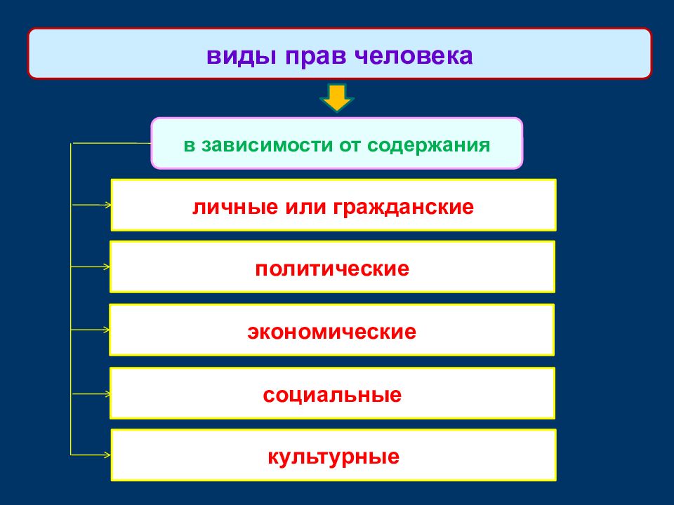 Гражданские и политические права презентация 8 класс