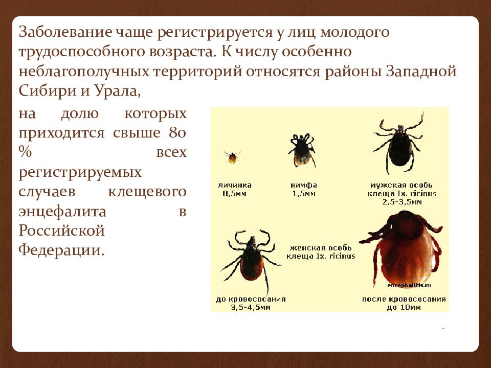 Презентация клещевой энцефалит для врачей