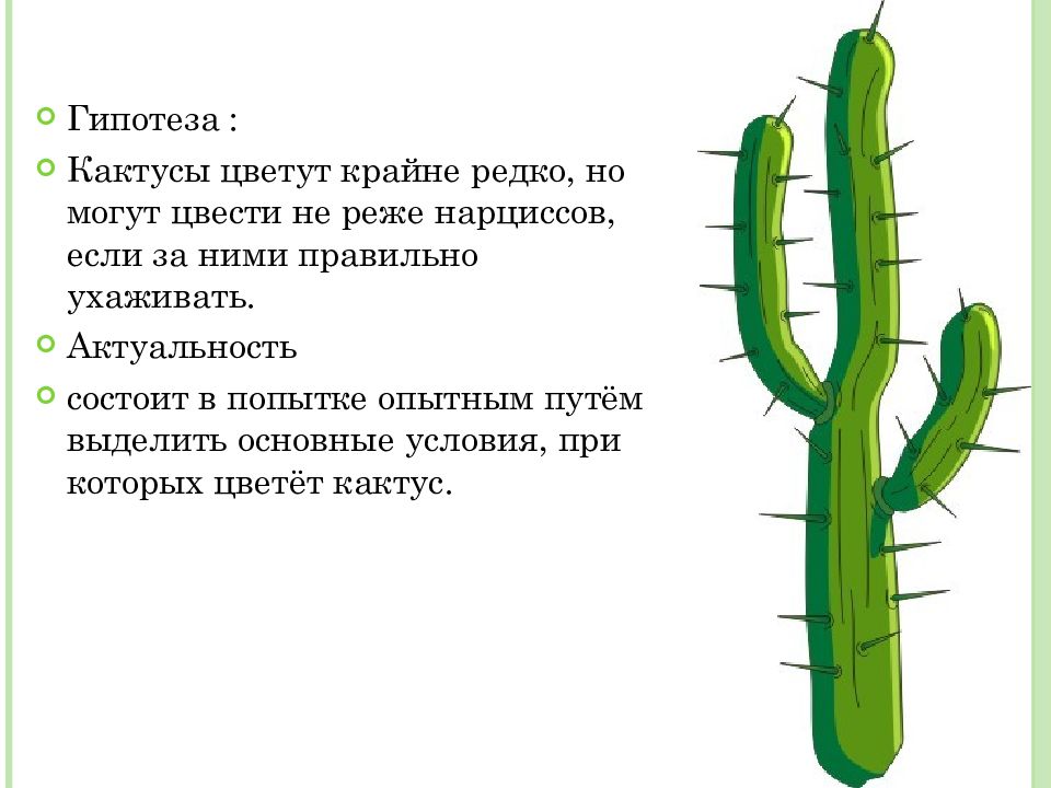 Презентация кактусы 3 класс