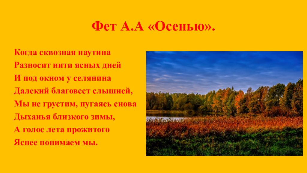 Фет осень. Осенью когда сквозная паутина разносит нити ясных дней. Когда когда осенью. Фет когда сквозная паутина.