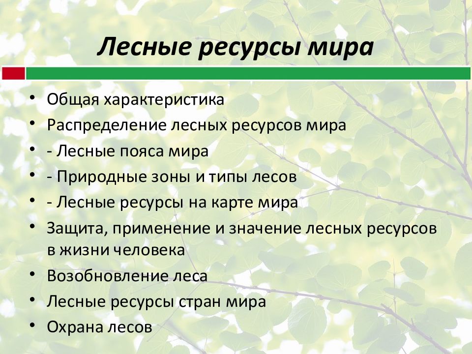 Лесные ресурсы мира презентация