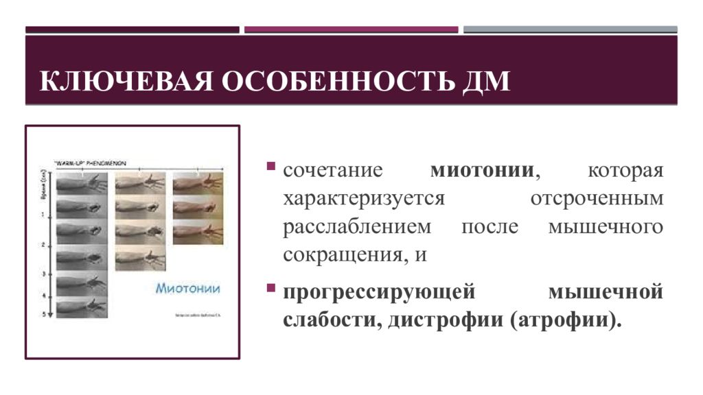 1 виды презентаций. Ключевые особенности.