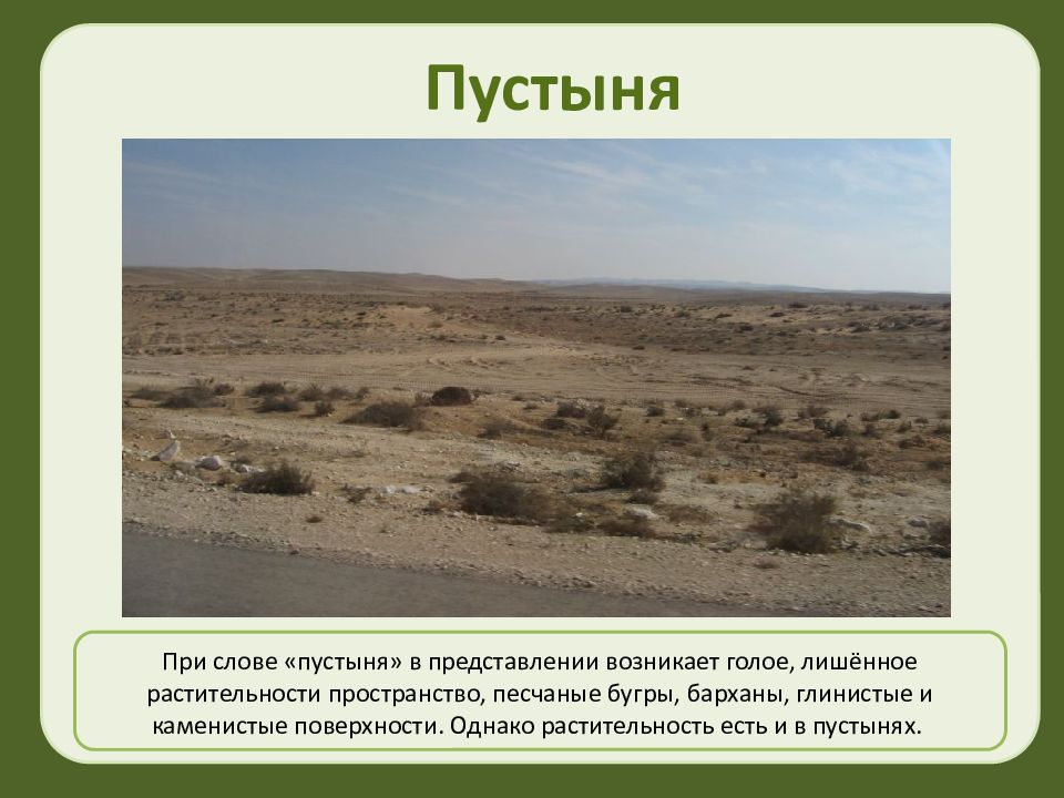 Desert текст. В России пустыни песчаные или глинистые. Пустыня текст. Пустынные слова. Пустошь слово.