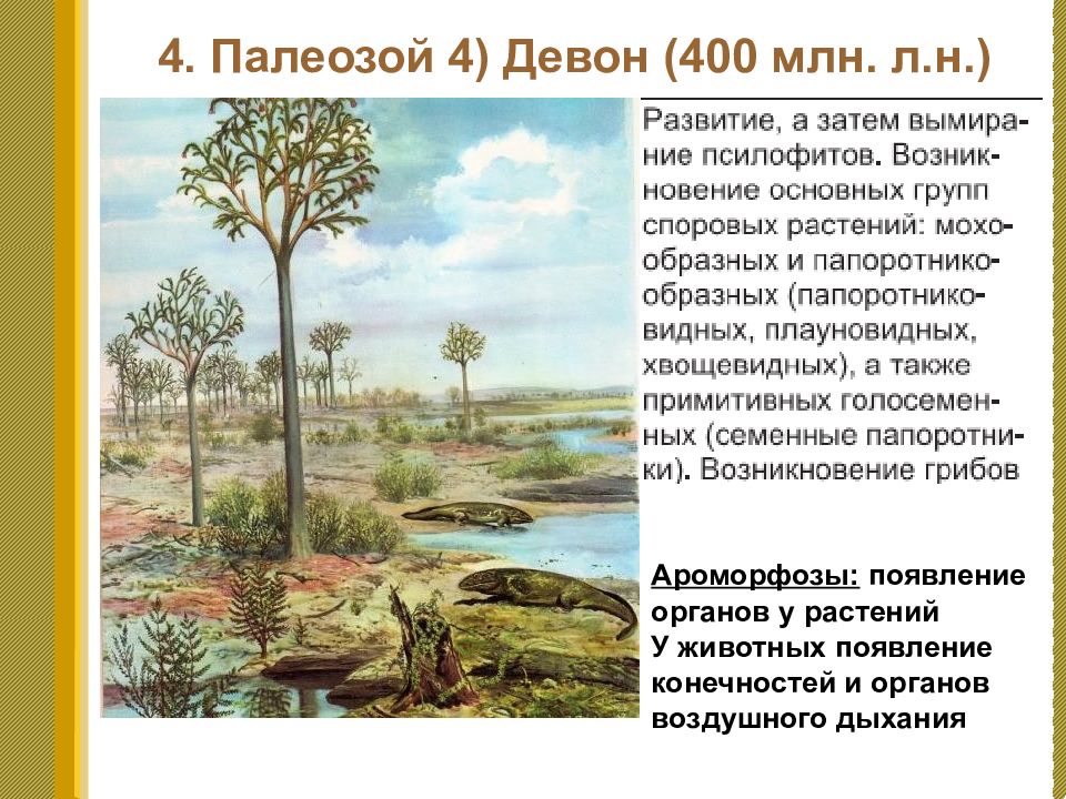 400 млн лет назад какой период. Палеозой Девон. Девон период палеозойской эры. Поздний палеозой Девон. Палеозой Девон растения.