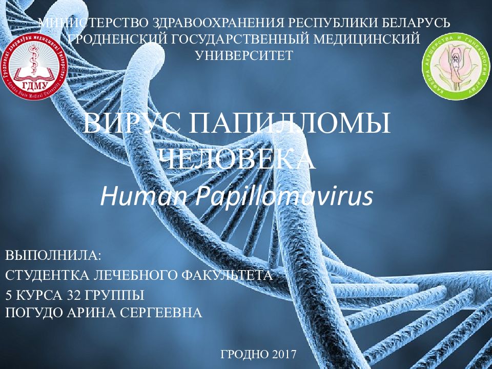 ВИРУС ПАПИЛЛОМЫ ЧЕЛОВЕКА Human Papillomavirus