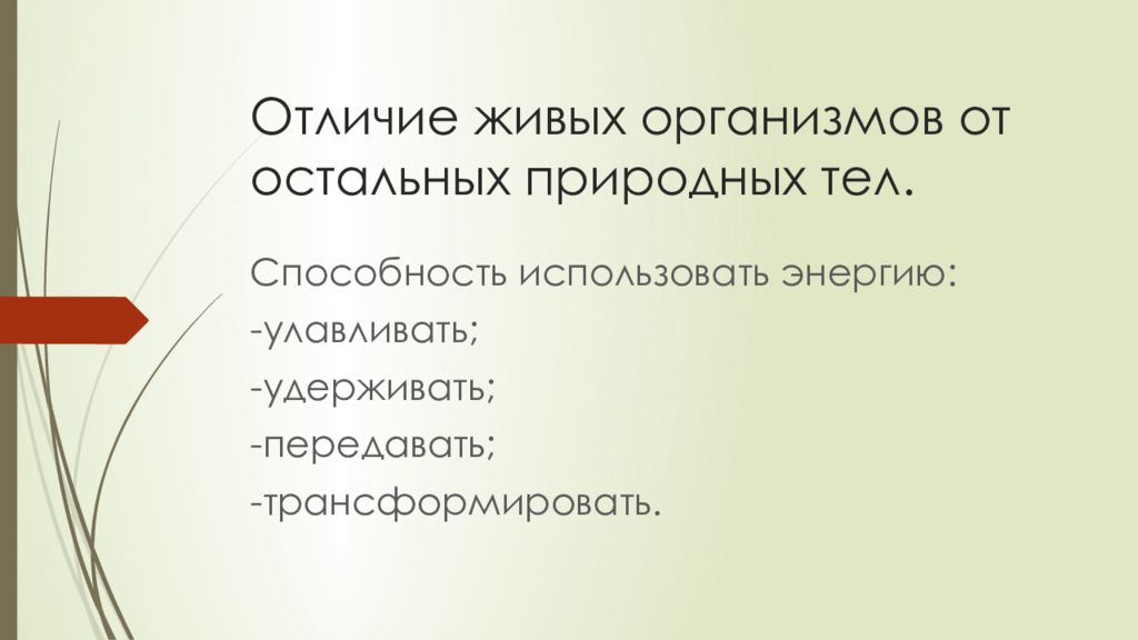 Презентация экология и безопасность обж 8 класс презентация