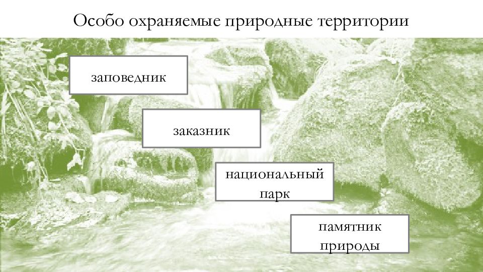 Заповедники заказники национальные парки памятники природы. Охраняемые территории с управляемыми ресурсами. Особо охраняемые природные территории фотоколлаж. Белые страницы – охраняемые природные территории..