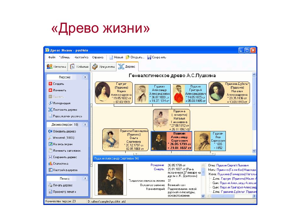 Программа семейная 2. Древо жизни программа генеалогическое Древо. Родословная программа Древо жизни. Программы для построения генеалогического дерева. Программа для родословного дерева.