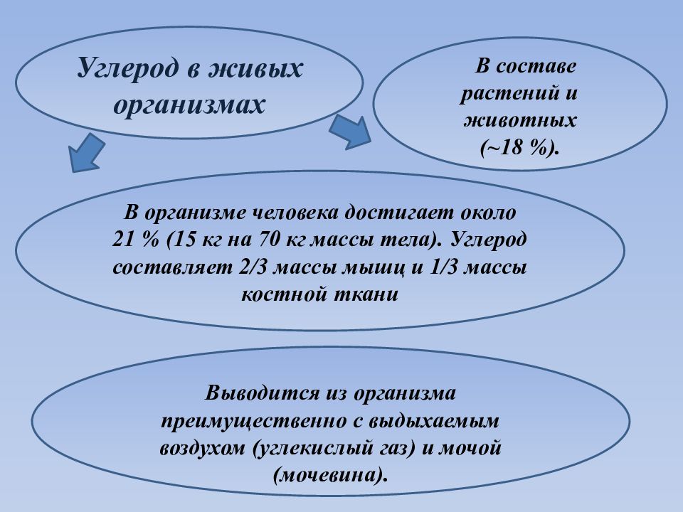 Проект углерод в моем организме