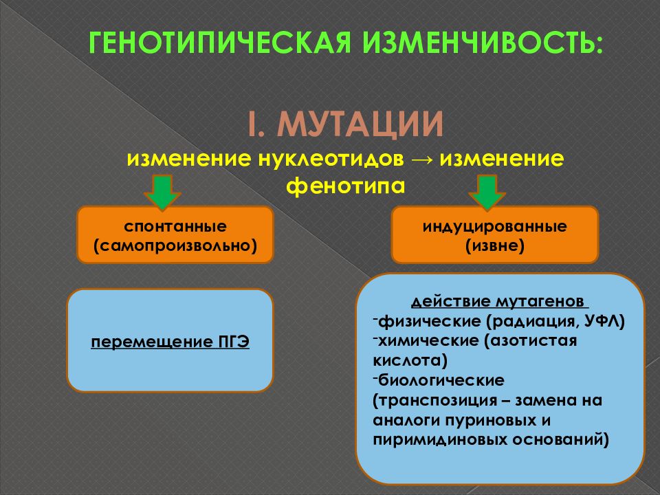 Мутации отличаются. Генотипическая изменчивость. Мутационная генотипическая изменчивость. Генотипическая изменчивость классификация мутаций. Мутационная изменчивость микроорганизмов.