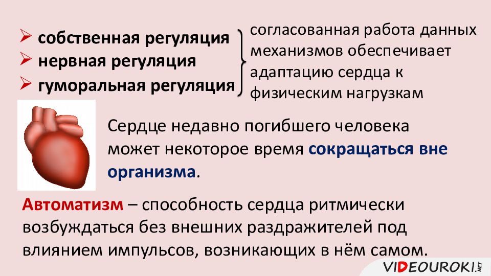 Регуляция сердечной деятельности презентация