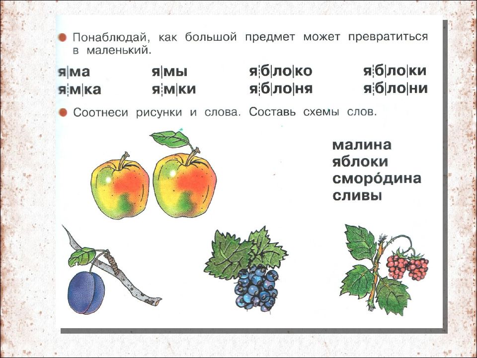 Слива разбор слова по звукам и буквам схема