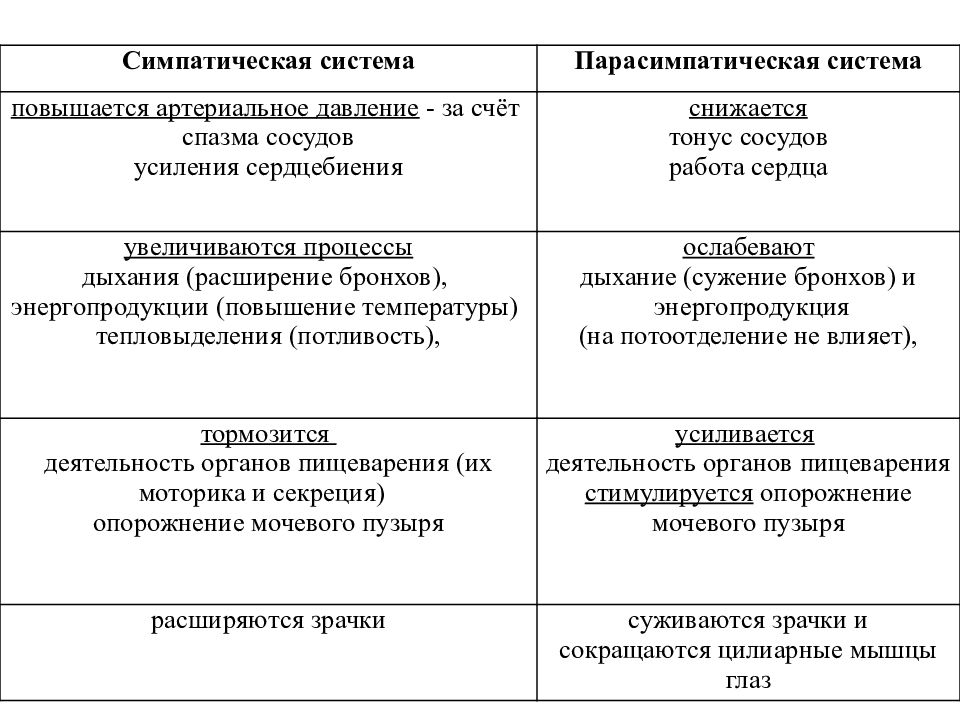 Кровяное давление парасимпатическая. Артериальное давление парасимпатическая нервная система. Симпатическая система артериальное давление. Симпатическая нервная система повышает артериальное давление. Влияние симпатической нервной системы на артериальное давление.