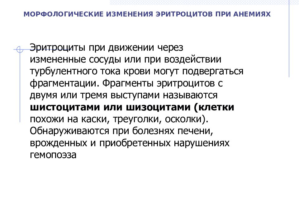 Морфологические изменения эритроцитов. Морфологические изменения эритроцитов