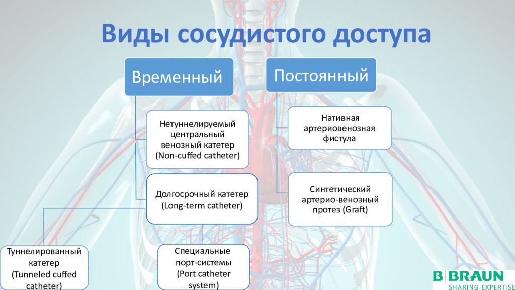 Венозный доступ презентация