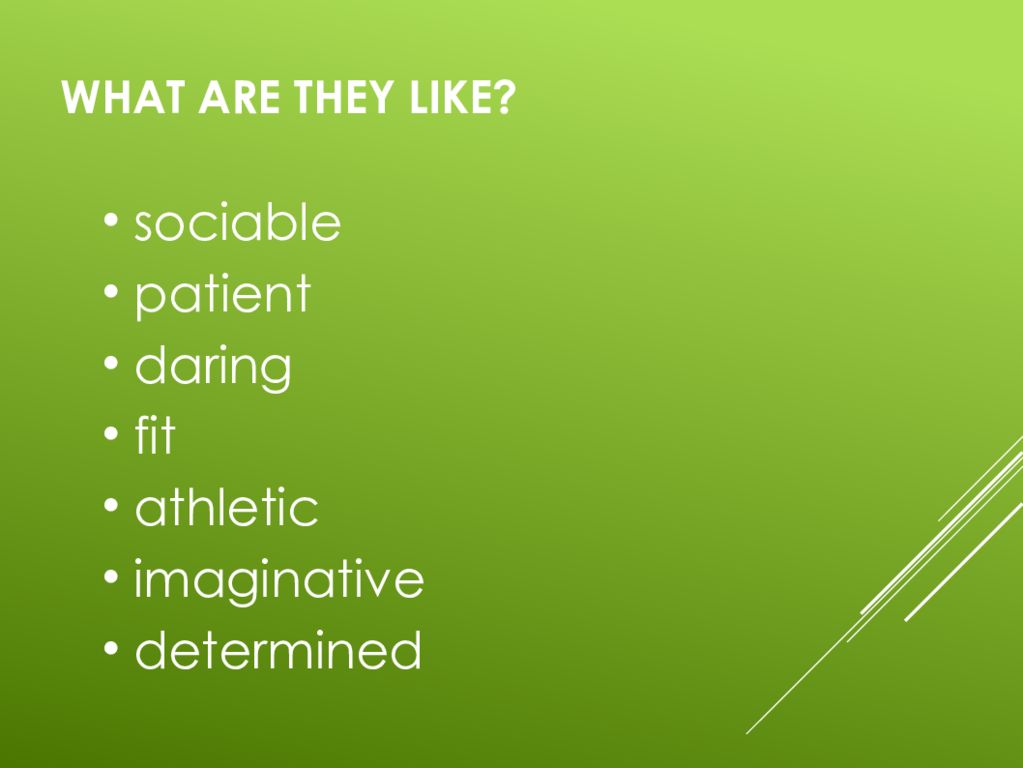 Determined curious daring patient athletic imaginative