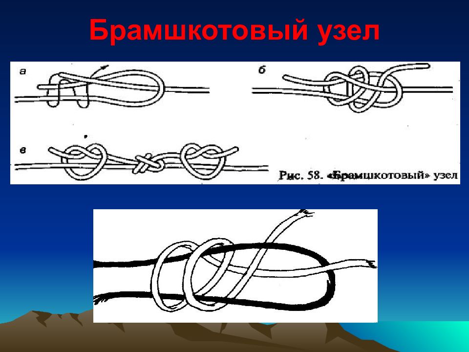 Академический узел рисунок