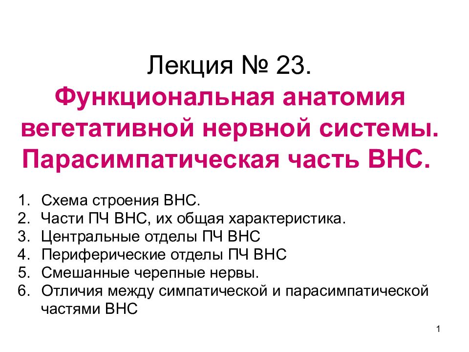 Функциональная анатомия вегетативной нервной системы презентация