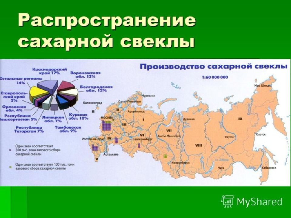 Рис экономические районы. Ареал произрастания сахарной свеклы. Выращивание сахарной свеклы в России карта. Районы выращивания сахарной свеклы. Районы выращивания сахарной свеклы в России.