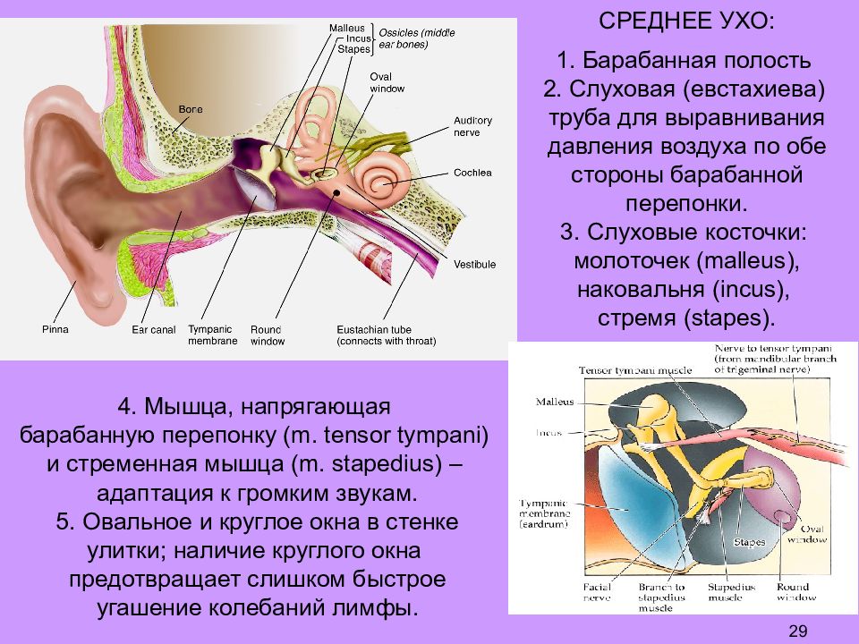 Давления в ушах что это