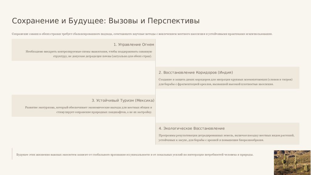 Саванны Индии и Мексики: Сравнительный Анализ Двух Тропических Экосистем Это